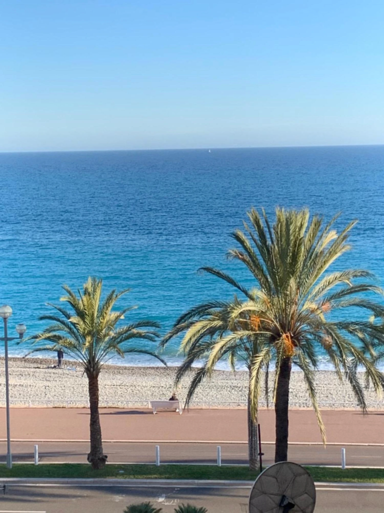 Estimation immobilière à Nice palmier promenade des anglais mer plage (1)